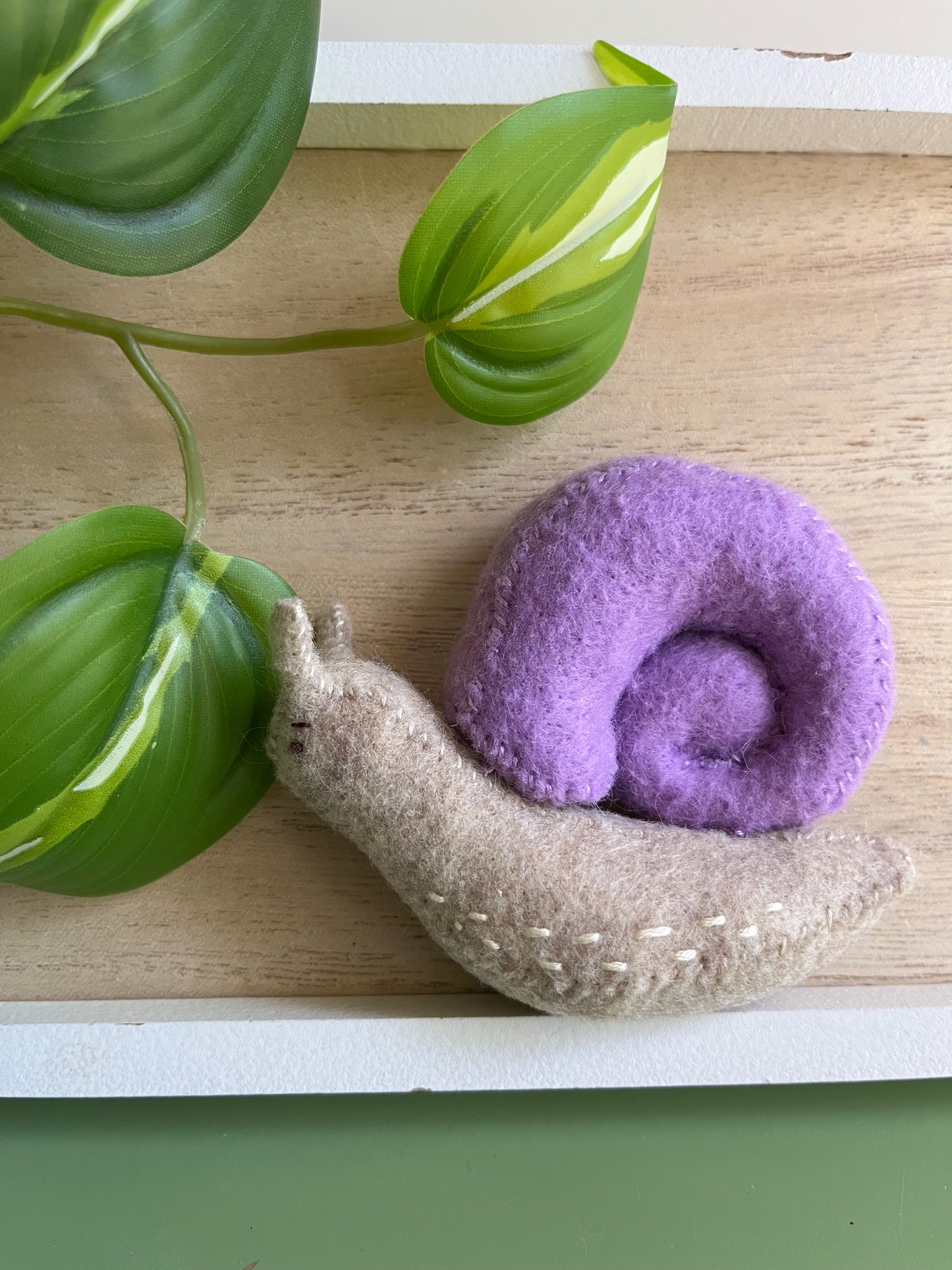 Snail friend