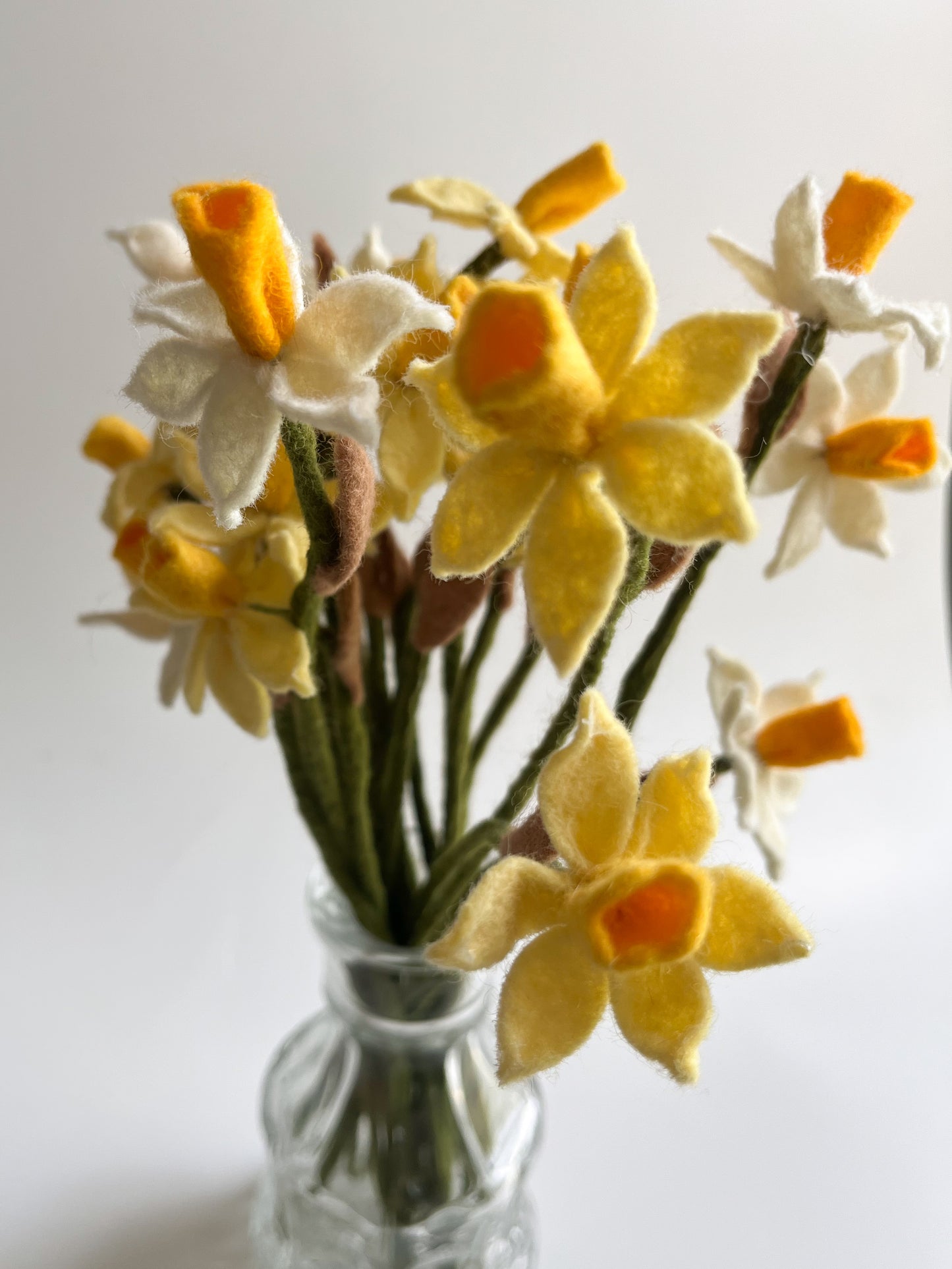 Daffodils