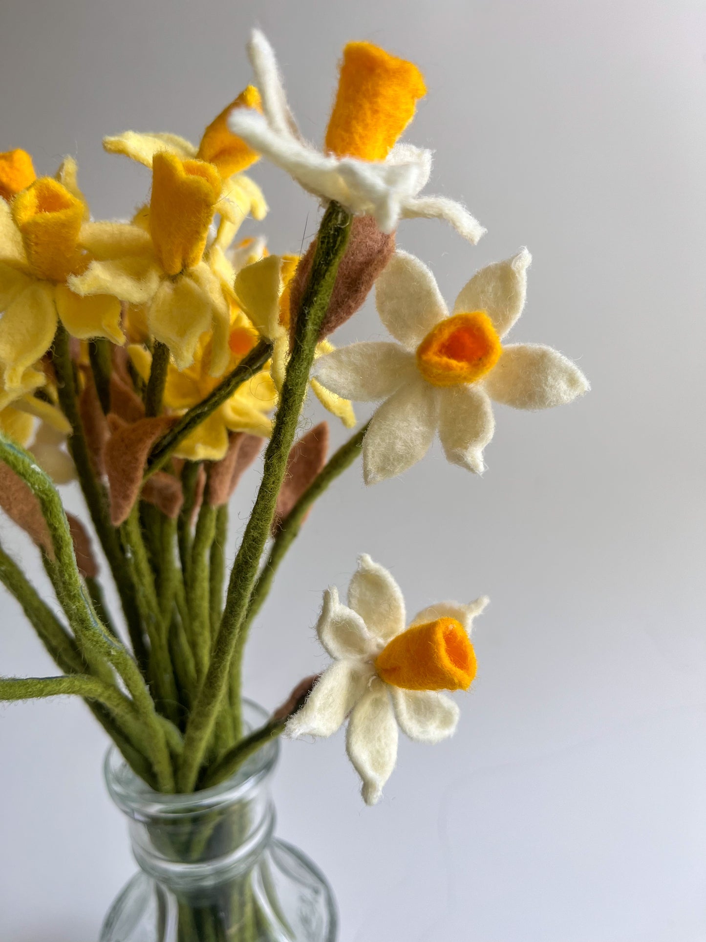 Daffodils