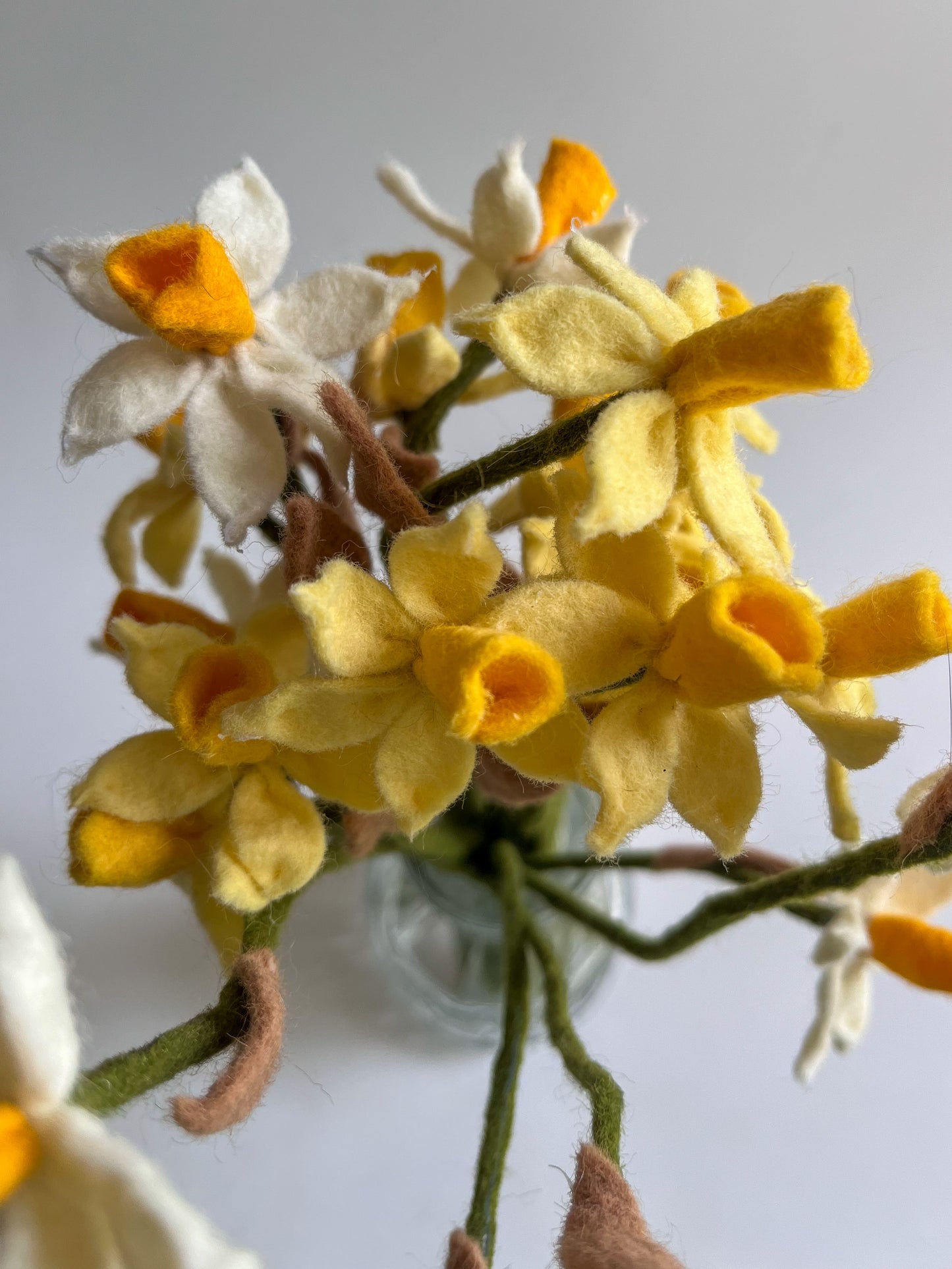 Daffodils