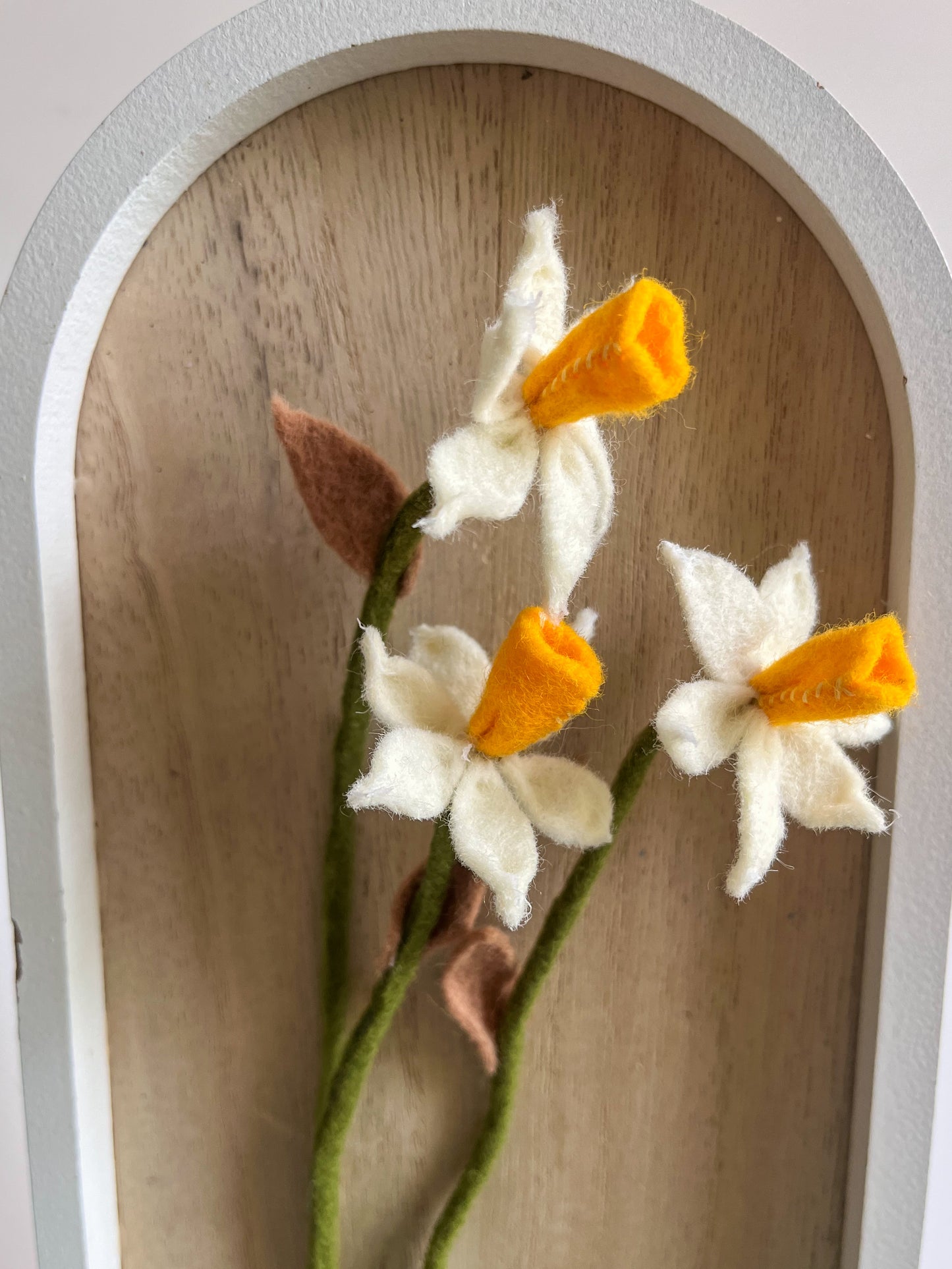 Daffodils